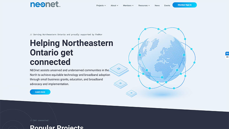 Screenshot of Neonet's website